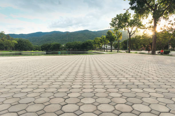 Best Driveway Pavers for Homes  in Random Lake, WI